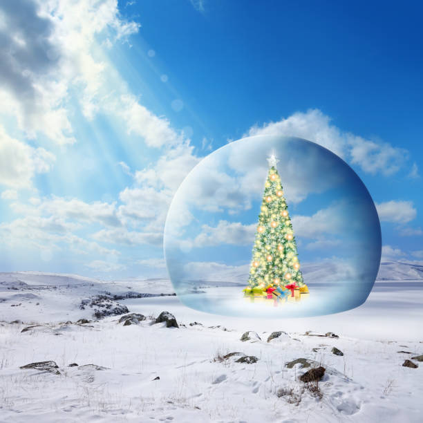 decorated outdoor christmas tree in glass sphere on snow covered landscape - christmas decoration campanula decoration christmas imagens e fotografias de stock