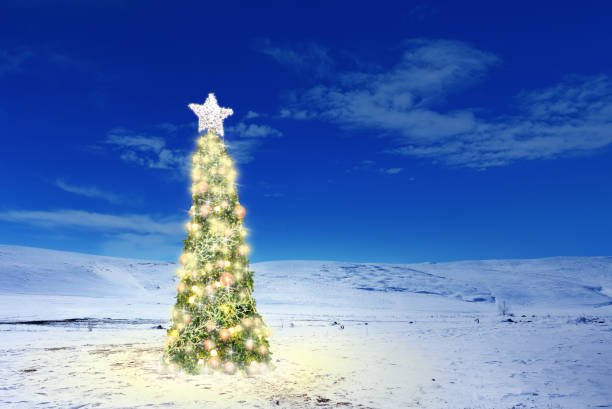 istock Decorated outdoor Christmas tree on snow covered landscape 1044808286