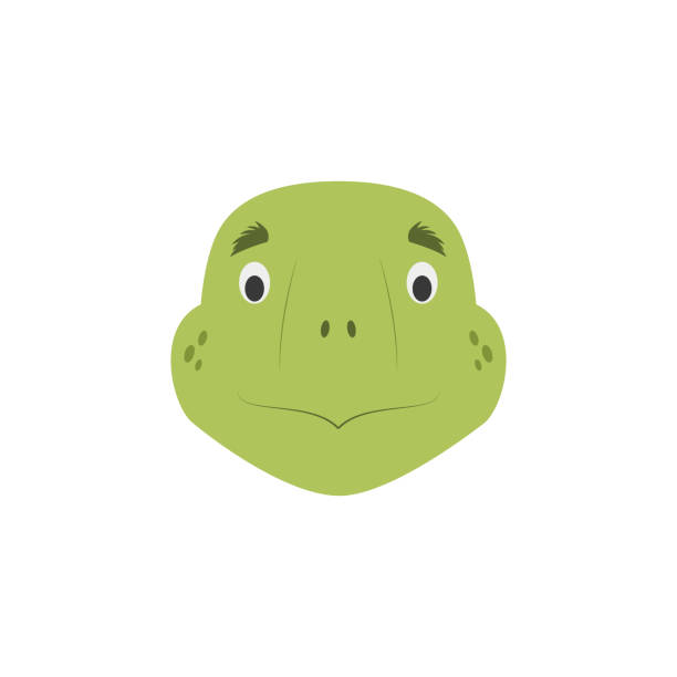 Turtle Face In Cartoon Style For Children Animal Faces Vector Illustration  Series Stock Illustration - Download Image Now - iStock