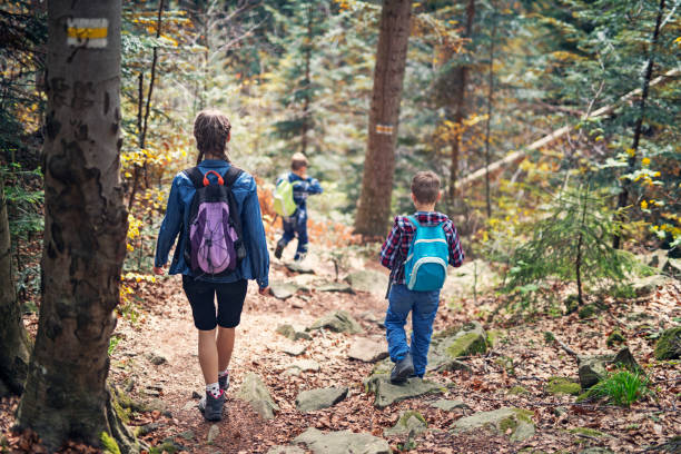 istock Three kids hiking in autumn forest 1044813094