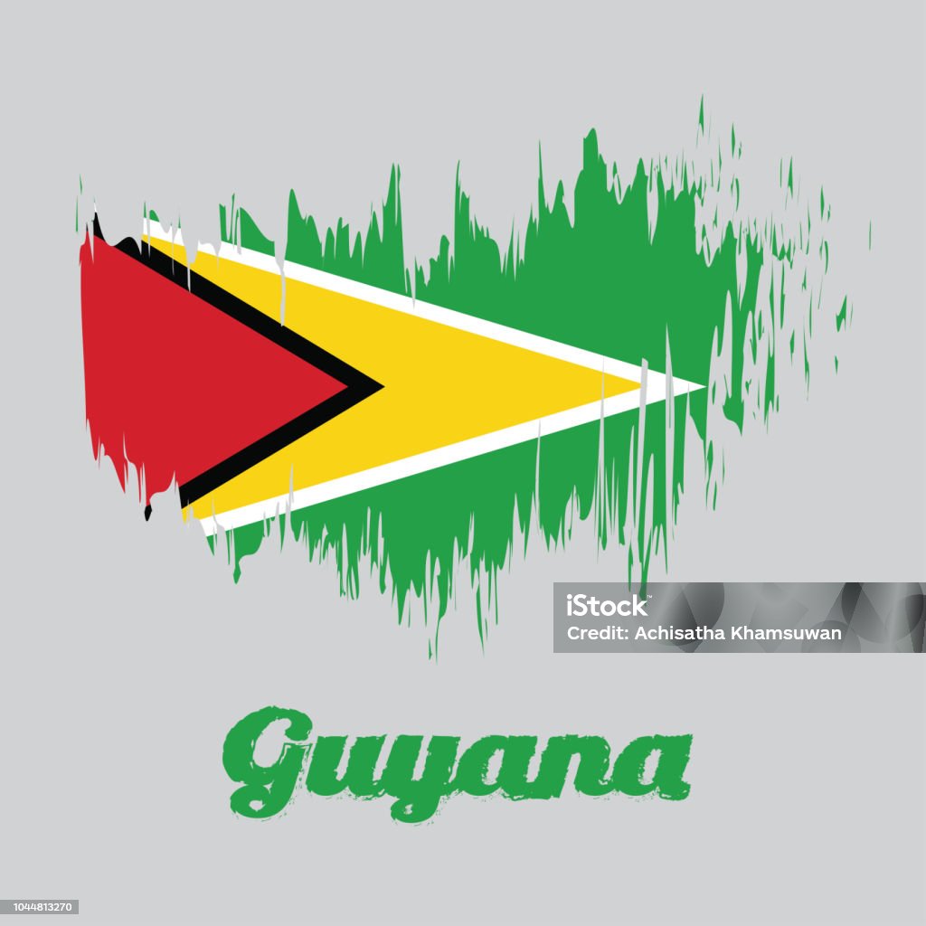 Cờ Màu Kiểu Bàn Chải Của Guyana Một Cánh Đồng Màu Xanh Lá Cây Với ...