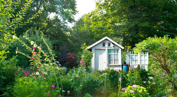 istock Garden house with flowers, paws 1044815956