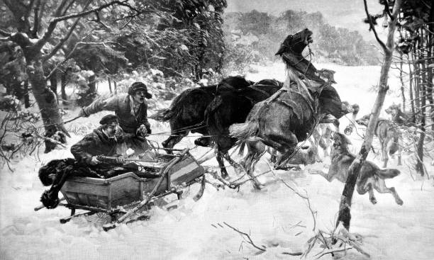 istock Winter hunting scene during which a herd of wolves attacks horses - 1895 1044816870