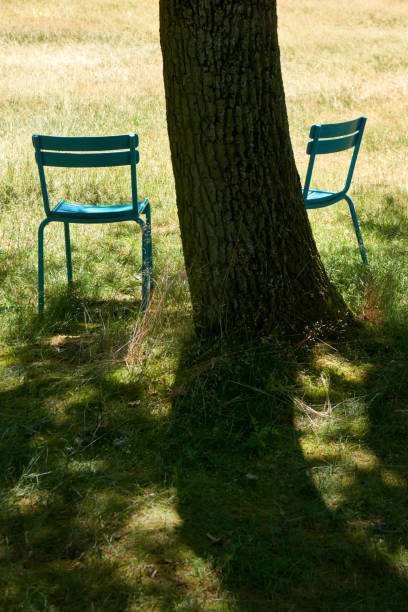 istock Two green chairs in a sunlit field and a tree in the middle 1044820702