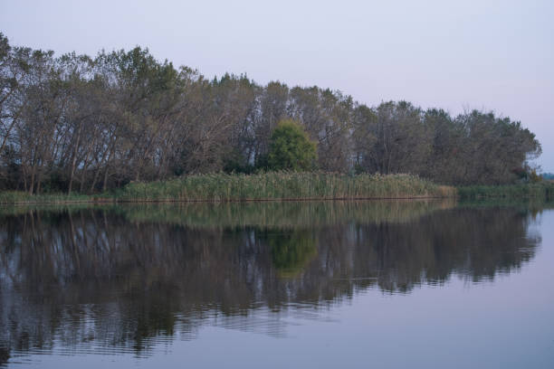 istock edge of a pond 1044824548