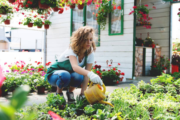 istock Florist watering a plants 1044824890
