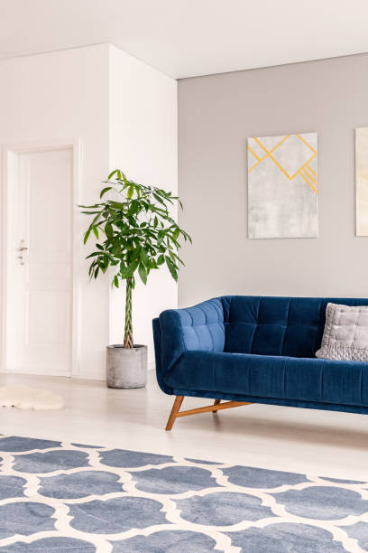 istock A view at an inner door through a bright and minimal lounge interior with a comfortable dark blue settee standing next to a green plant. Painting on a wall and rug on the floor. Real photo. 1044827644