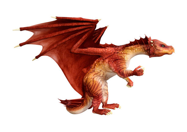 istock 3D illustration red fantasy dragon on white 1044829056