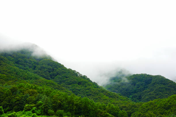 Green mountain and rain cloud for natural background