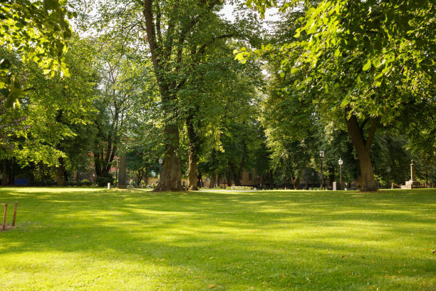 istock Public park in Stockholm 1044829934
