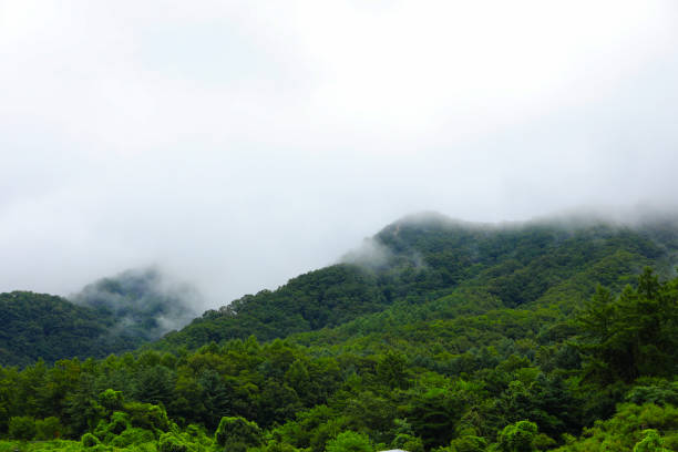 istock Green mountain and rain cloud for natural background 1044832526