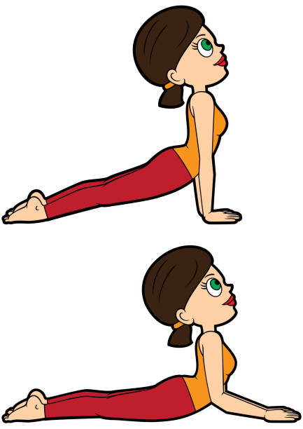 ilustraciones, imágenes clip art, dibujos animados e iconos de stock de asana yoga set de perro & la cobra ascendente hacia poses - yoga posture dog cobra