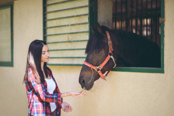 istock Young  woman with her horse 1044841852