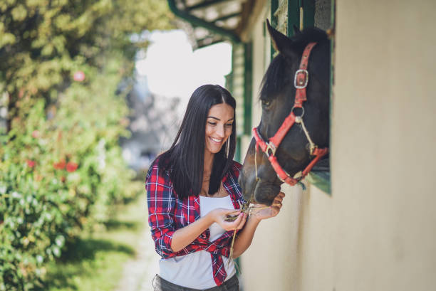 istock Young  woman with her horse 1044841994