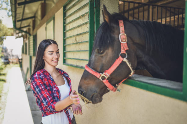 istock Young  woman with her horse 1044842342