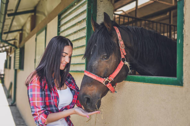 istock Young  woman with her horse 1044846834