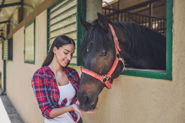 istock Young  woman with her horse 1044847214