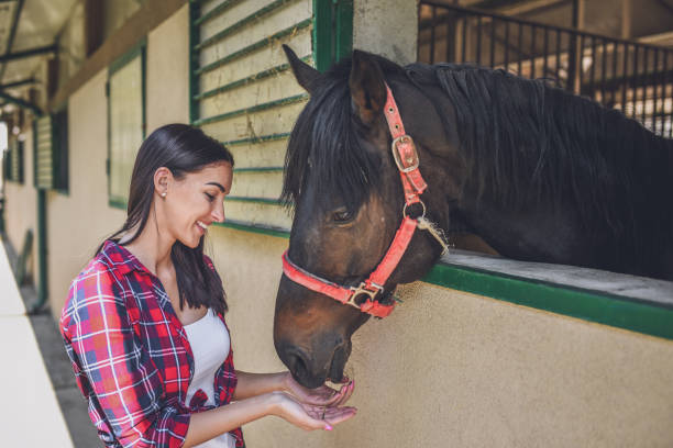 istock Young  woman with her horse 1044847518