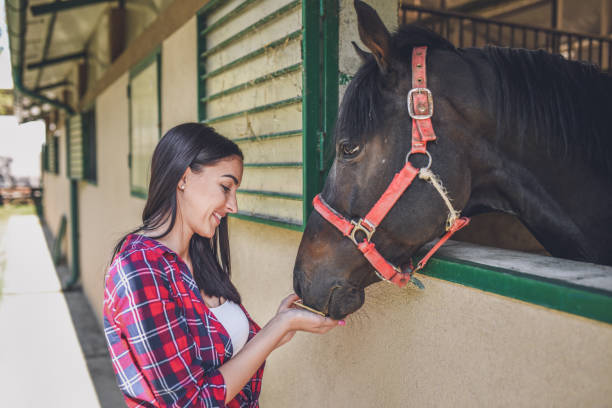 istock Young  woman with her horse 1044847724