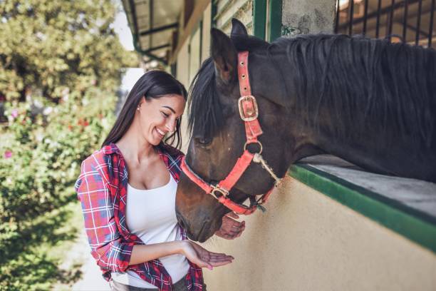 istock Young  woman with her horse 1044847772