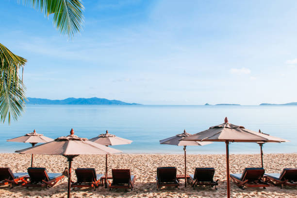 istock Vacation Relaxation beach beds under umbrella in summer, Samui island 1044850870