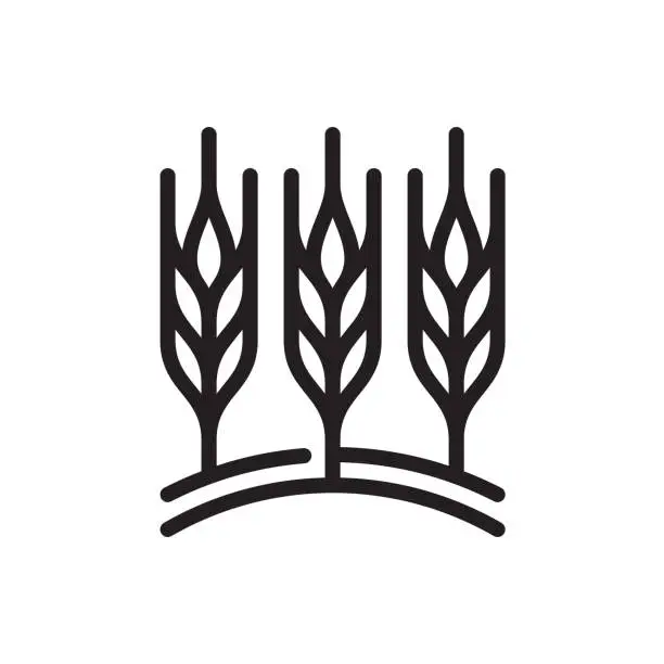 Vector illustration of Wheat field line icon