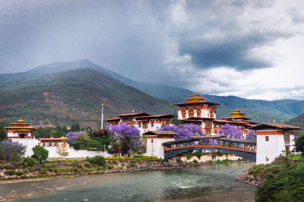 istock Punakha Dzong in Bhutan 1044859970