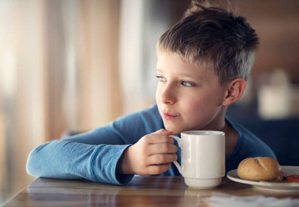 retrato de um menino tomando café da manhã - little boys breakfast caucasian child - fotografias e filmes do acervo