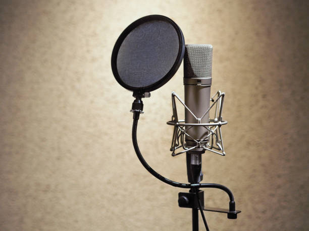 istock Microphone In Sound Recording Studio. Professional Microphone 1044878444