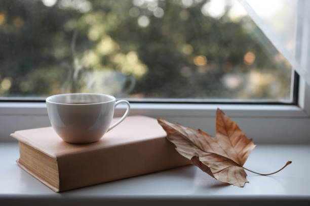 istock Cup of tea and book on windowsill 1044887820