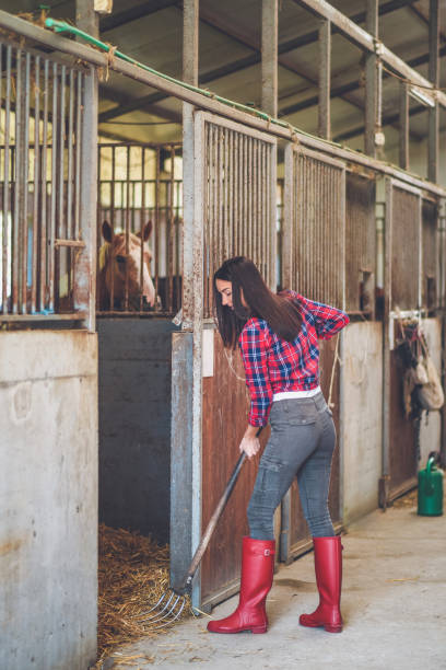 istock A young woman cleans stable 1044888348