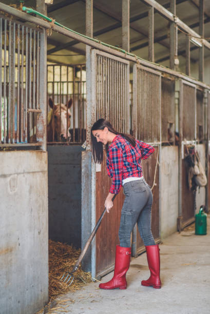 istock A young woman cleans stable 1044888446