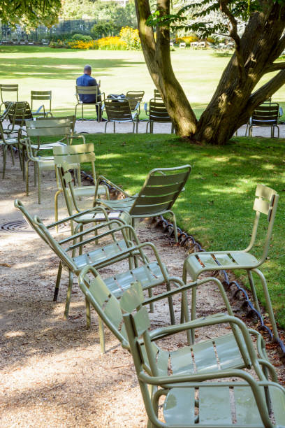 un homme seul, lisant un livre, assis à l’ombre sur une chaise de jardin métallique dans le jardin du luxembourg à paris, par un matin ensoleillé avec sièges répartis aux côtés des ruelles. - jardin luxembourg photos et images de collection