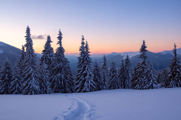 istock Magical sunset in the winter mountains after snowfall 1044900194