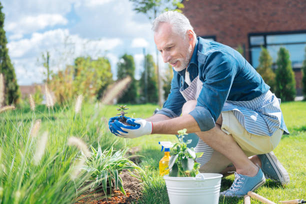 istock Mature grey-haired man feeling excited while planting flower for the first time 1044900646