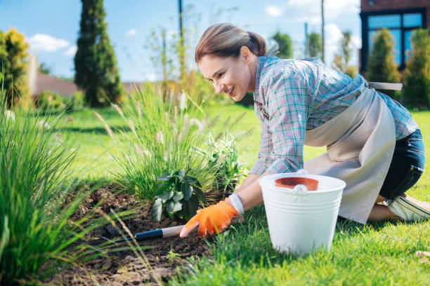 istock Beaming gardener holding little hoe in her hands while grubbing weeds up 1044900742
