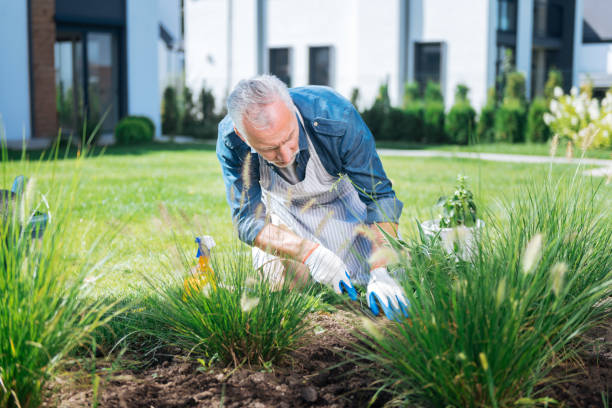 istock Bearded man wearing white gloves using little hoe while grubbing the weeds up 1044900948