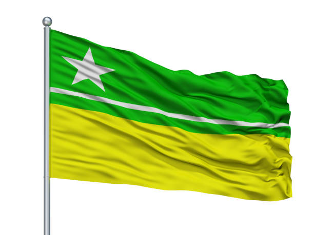 istock Boa Vista City Flag On Flagpole, Brasil, Roraima, Isolated On White Background 1044903802
