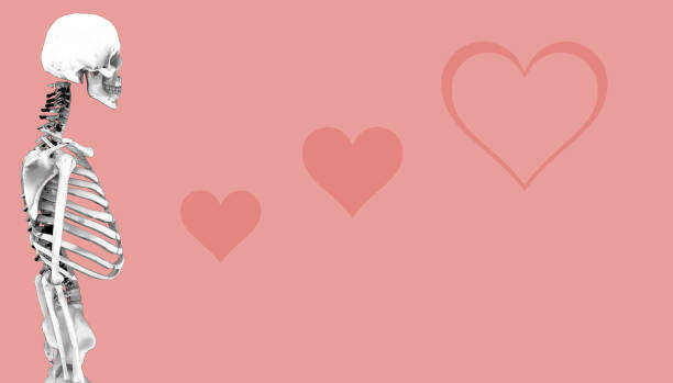 istock Skeleton Human Sketch And Heart Love and Background 1044908340