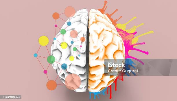 Brain Left And Right Creativity Functions Sketch Concept Stock Photo - Download Image Now