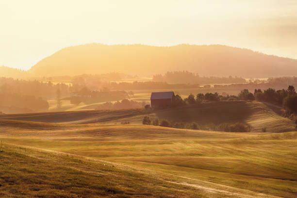 istock Agricultural area Byneset 1044908658