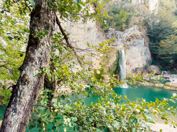 waterfall forest water heaven