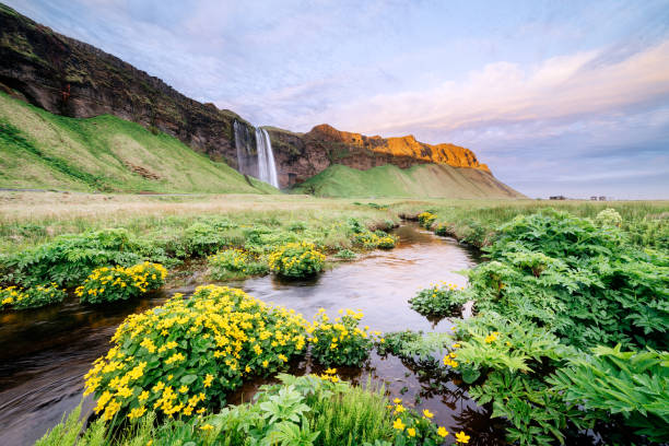 istock Seljalandsfoss - picturesque and majestic waterfall, Iceland 1044916152
