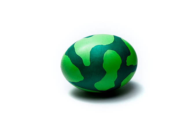 Green camouflage easter egg stock photo