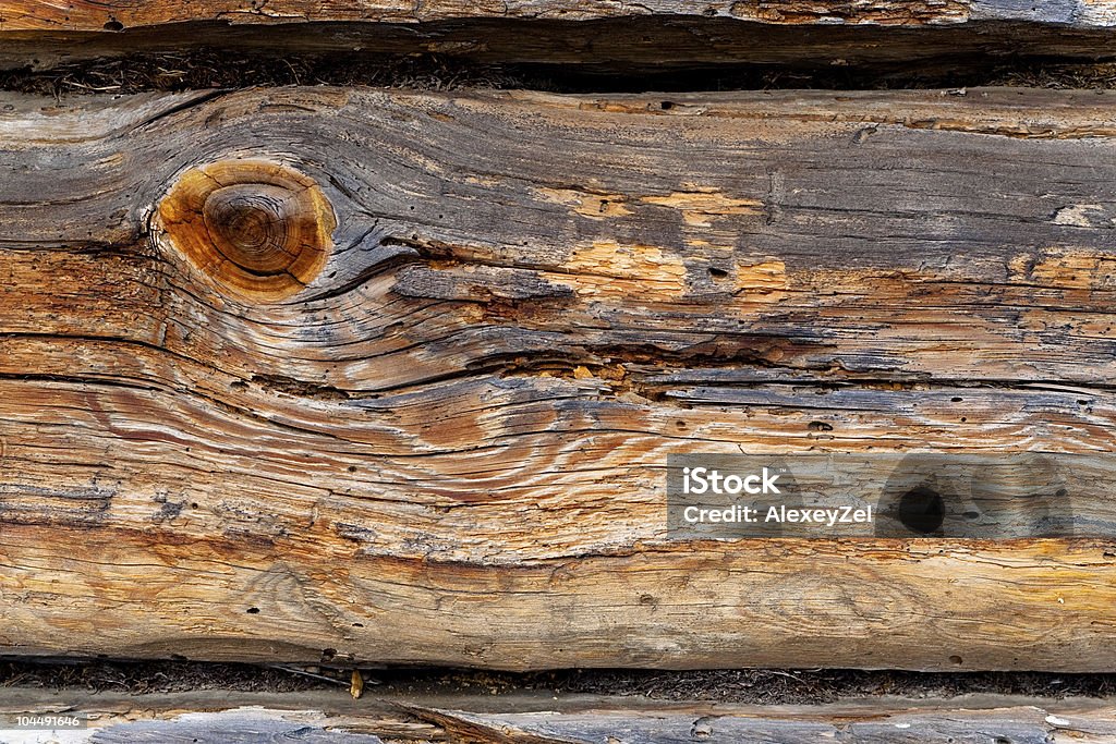 Clean Log Texture Old Log Texture Stock Photo - Download Image Now - Abstract ...
