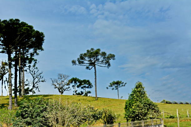 istock Santa Catarina landscapes 1044921532