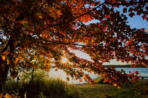 istock Marl Lake autumn star burst 1044921650