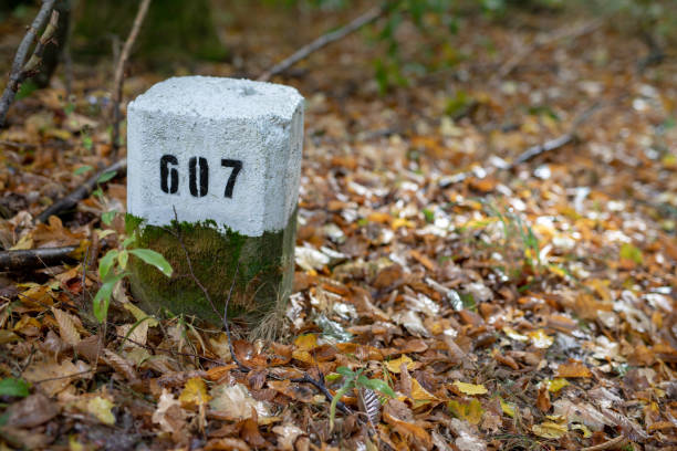 istock White stone pillar set in the forest. Marks of forest branches needed for field browsing. Season of the summer. 1044922608
