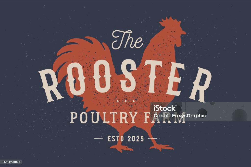 Rooster, poultry. Vintage label, retro print, poster for Butchery Rooster, poultry. Vintage label, retro print, poster for Butchery meat shop with text typography Rooster, Poultry Farm, rooster silhouette. Label template rooster, hen, chicken. Vector Illustration Chicken - Bird stock vector