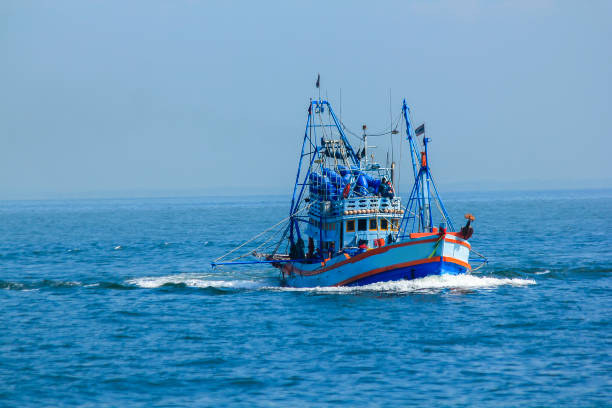 duże łodzie rybackie w morzu. - bay large nautical vessel blue zdjęcia i obrazy z banku zdjęć